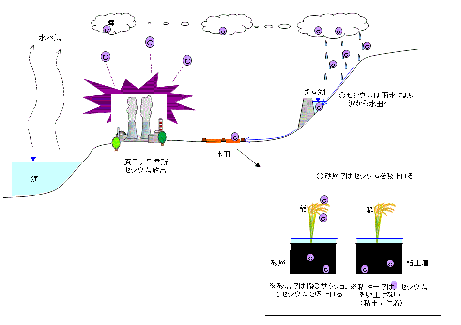 セシウム拡散概要図